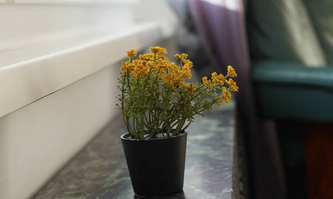 Maxglan Apartment | Room Flower near Train station and Hospital