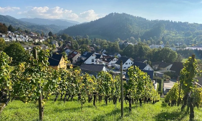 Sulzburg Apartment | Holiday apartment meadow