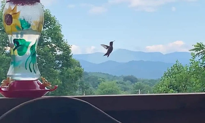 Mars Hill Apartment | Private Guest Suite with Mountain View Near Asheville