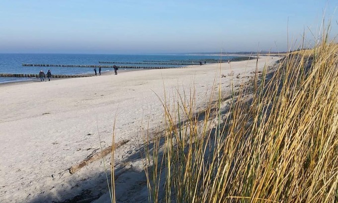 Rostock Apartment | Holiday apartment Central