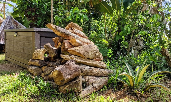 Aibonito House | ¡escapada Romántica! Glamping en Burbuja con Jacuzzi Privado Para Dos