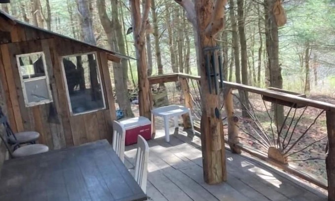 Dundee Cabin | Cozy, rustic off grid cabin on 15 acres. Pet friendly! No cleaning or pet fees!!