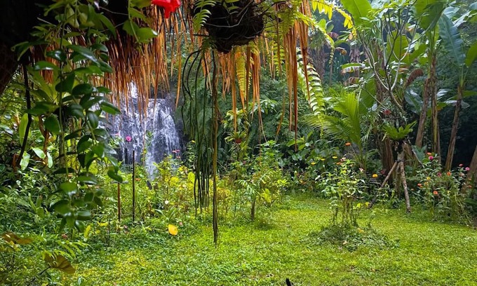 Payangan House | Das Dschungel zu Hause Neben Privatem Wasserfall