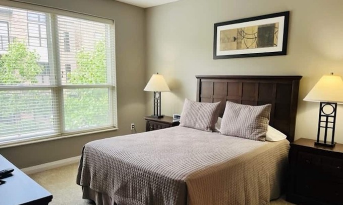 Dublin Apartment | Beautifully furnished 1 bedroom close to restaurants, stores, and parks.