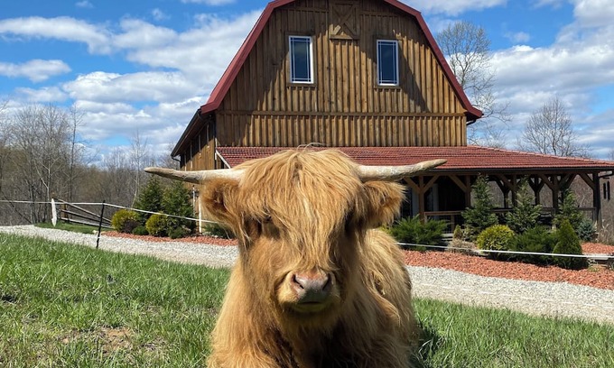 McArthur House | The Barn at Dogwood Ridge Farms: Highland Cow and Mini Donkey Farm