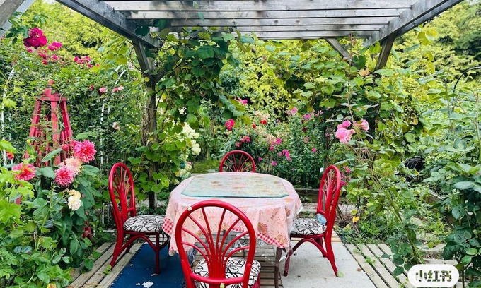 Surrey Bed & Breakfast | Adorable 2-bedroom big garden in Surrey