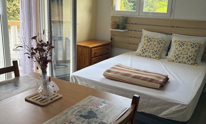 Eugenie-les-Bains Apartment | 400 meters from the thermal baths, lovely, quiet studio with balcony not overlooked.