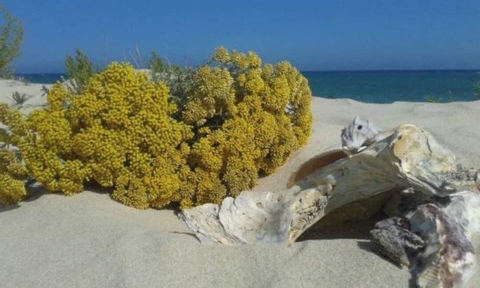 Isla Cristina House | Junto al Mar: Casa Pinar