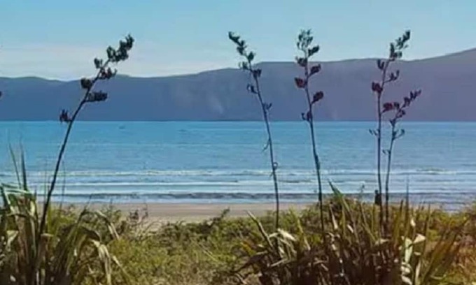 Paraparaumu Apartment | Paraparaumu Beach Hideaway
