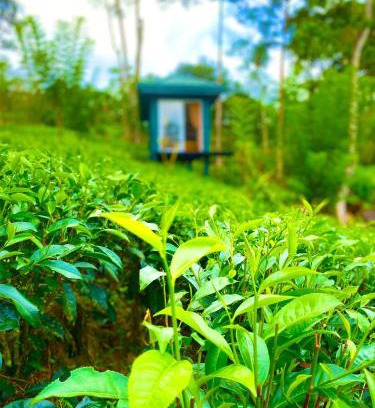 Nelluwa Hotel | Mist of Sinharaja Eco Lodge